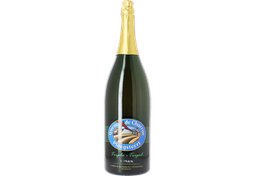 [BLONDE] QUEUE DE CHARRUE TRIPLE 9° 3 LITRES